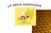 Esta abeja haragana se preocupaba más por estar de flor en flor en lugar de cumplir con sus responsabilidades como las demás abejas.