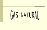 EL GAS EN NUESTRO PAIS En 1992 se privatiza “Gas del Estado” y se crea “ENARGAS” (Ente Nacional Regulador del Gas). Se divide Gas del Estado en 2 compañías.