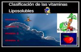 Clasificaci³n de las vitaminas Liposolubles VITAMINA A. VITAMINA D. VITAMINA E. VITAMINA K