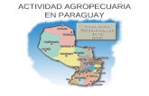 ACTIVIDAD AGROPECUARIA EN PARAGUAY. Componentes Años Ganadería, Caza y pesca Agricultura y explotación forestal Total% Gs.% % 1993726.038,006,35 2.177.445,0018,16.