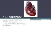 “El corazón” Anatomía y Fisiología 5 “C” Farmacia Alejandro Díaz de la Vega González.
