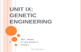 Ethical Concerns in Genetic Engineering c4