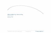 Blackberry Security White Paper Version 4