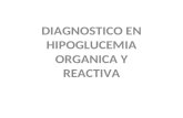 Hipoglucemia y Cetoacidosis Eq
