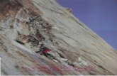 Alpinistični razgledi 47