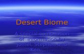 Desert Biome Ruby Batch 2012