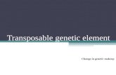 Transposable Genetic Element