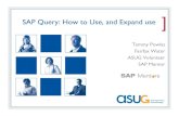 Quesry_SAP How to Use and Expand Use