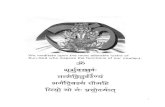 Sloka Book Sanskrit English