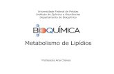 10 Metabolismo de Lipídios Graduação PDF