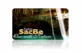 Sacbe Promo, Reduced Size