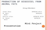Production of Biodiesel From Animal Fats111