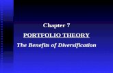 Chapter 7 Portfolio Theory
