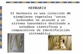 HERBARIO El herbario es una colección de ejemplares vegetales secos ordenados de acuerdo a un sistema taxonómico destinado a estudios científicos y comparativos.