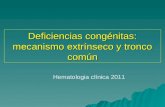 Deficiencias congénitas: mecanismo extrínseco y tronco común Hematologia clínica 2011.