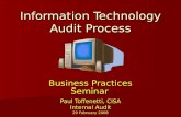 IT Audit Process.ppt