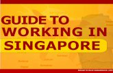 Guide to Working in Singapore