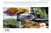 13124651 UNorganic Fruit and Vegetables From the Tropics