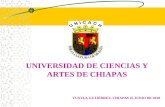 UNIVERSIDAD DE CIENCIAS Y ARTES DE CHIAPAS TUXTLA GUTIÉRREZ, CHIAPAS 25 JUNIO DE 2010.