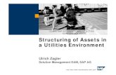Structuring of Assets in a Utilities Environment