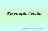 Respiração Celular Patrícia Rosa de Araujo. Metabolismo Conjunto de reações químicas que ocorrem no organismo. Ex.: biossíntese de nucleotídeos e aminoácidos,