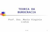 TO-041 TEORIA DA BUROCRACIA Prof. Dra. Maria Virginia Llatas.