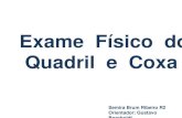 Exame Físico do Quadril e Coxa Semira Brum Ribeiro R2 Orientador: Gustavo Bornholdt.