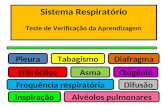 Pleura Eritrócitos Tabagismo Asma Frequência respiratória Inspiração Difusão Oxigénio Alvéolos pulmonares Diafragma Sistema Respiratório Teste de Verificação.