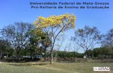 Universidade Federal de Mato Grosso Pró-Reitoria de Ensino de Graduação.