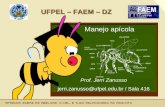 UFPEL – FAEM – DZ Manejo apícola Prof. Jerri Zanusso jerri.zanusso@ufpel.edu.br / Sala 416.