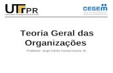 Teoria Geral das Organizações Professor: Jorge Carlos Correa Guerra, Dr.