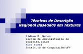 Técnicas de Descrição Regional Baseadas em Texturas Éldman O. Nunes Escola de Administração do Exército/EsAEx Aura Conci Instituto de Computação/UFF.