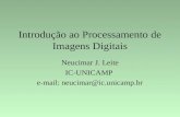Introdução ao Processamento de Imagens Digitais Neucimar J. Leite IC-UNICAMP e-mail: neucimar@ic.unicamp.br.