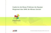 Caderno de Boas Práticas da Equipe Regional das SRE de Minas Gerais Secretaria de Estado de Educação de Minas Gerais- 2010.