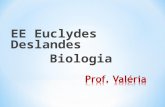 EE Euclydes Deslandes Biologia É o processo pelo qual uma célula se transforma em duas células-filhas. DIVIDIR=DUPLICAR.