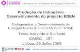 Laboratório Associado de Energia, Transportes e Aeronáutica Laboratório de Tecnologias de Energia no IDMEC/IST Toste Azevedo e Rui Neto IDMEC – IST, Lisboa,