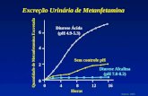 0 4 8 12 16 64206420 Diurese Ácida (pH 4.9-5.3) Sem controle pH Diurese Alcalina (pH 7.8-8.2) Horas Quantidade de Metanfetamina Excretada Excreção Urinária.