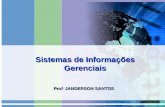 Sistemas de Informações Gerenciais Prof. JANDERSON SANTOS.