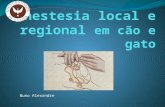Nuno Alexandre. Anestesia local e regional Razões para utilizarmos: Analgesia preemptiva Pode evitar anestesia geral Diminui concentração de anestésicos.