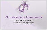 Letras O cérebro humano Prof.ª Gláucia Lobo Sócio e Psicolinguística.