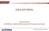 ALTERNATIVE FUELS AND VEHICLES  GÁS NATURAL Carlos Sousa AGENEAL, Agência Municipal de Energia de Almada.