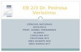 CIÊNCIAS NATURAIS 2010/2011 PROF. ISABEL FERNANDES ALUNAS: CAROLINA Nº2 CRISTIANA Nº3 INÊS DUARTE Nº6 INÊS RAMOS Nº7 EB 2/3 Dr. Pedrosa Veríssimo.