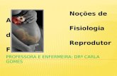 Noções de Anatomia Fisiologia do Orgão Reprodutor Feminino.