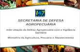 SECRETARIA DE DEFESA AGROPECUÁRIA Inter-relação da Defesa Agropecuária com a Vigilância Sanitária Ministério da Agricultura, Pecuária e Abastecimento.