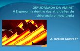 J. Tarcísio Castro Fº. A Ergonomia dentro das atividades de siderurgia e metalurgia Siderurgia e Metalurgia: atividades estratégicas no nosso estado Mote.