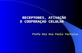 RECEPTORES, ATIVAÇÃO E COOPERAÇAO CELULAR Profa Dra Ana Paula Ferreira.