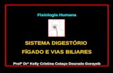 Fisiologia Humana SISTEMA DIGESTÓRIO FÍGADO E VIAS BILIARES Profª Drª Kelly Cristina Colaço Dourado Gorayeb.
