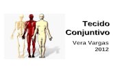 Tecido Conjuntivo Vera Vargas 2012. Origem no mesoderma Células mesenquimais migram pelo corpo Tecido conjuntivo propriamente dito Tecido conjuntivo especiais.