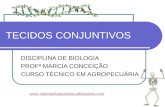 TECIDOS CONJUNTIVOS DISCIPLINA DE BIOLOGIA PROFª MARCIA CONCEIÇÃO CURSO TÉCNICO EM AGROPECUÁRIA .