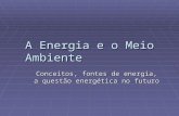 A Energia e o Meio Ambiente Conceitos, fontes de energia, a questão energética no futuro.